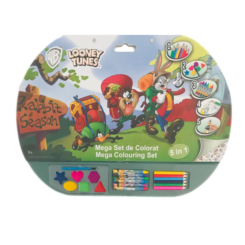 Set activitati 5 in1 Looney