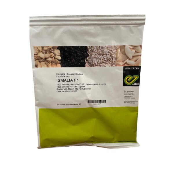 Seminte dovlecel, Ismalia F1, dovlecei semilungi pentru culturile timpurii, Enza Zaden - plic 1000 seminte