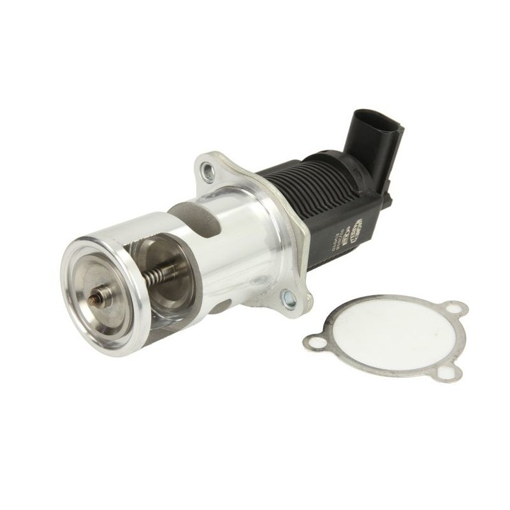 EGR szelep Nissan Interstar, Primastar, Opel Movano, Vivaro A, Renault Avantime, Espace III, Espace Iv, Laguna II, Master II, Trafic II, Vel Satis