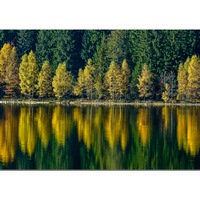 Tablou Canvas 70 X 100, Lac, Natura, Vara, Peisaj, Apa, Balta, Munte , Padure, Brazi, Intre munti, Oglindit, Luciu
