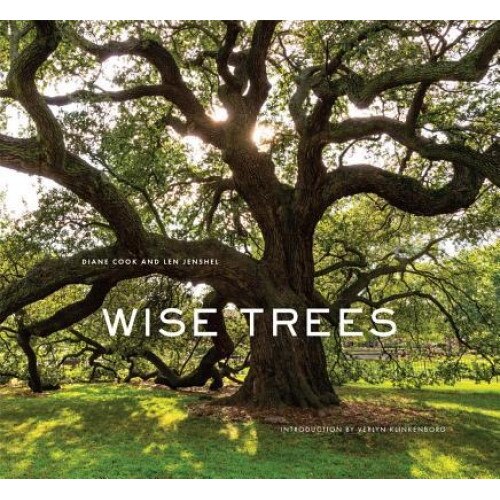 Wise Trees, Diane Cook (Author)