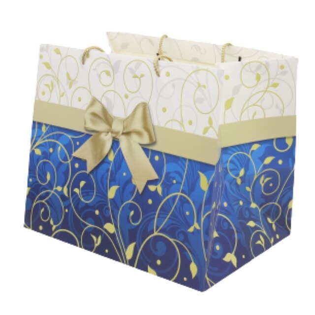 Punga cadou cu fundita 37 x 26 x 31 cm PGM1