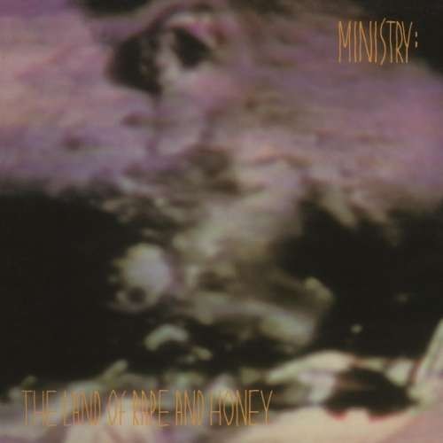 Ministry - Land of Rape and Honey (LP)