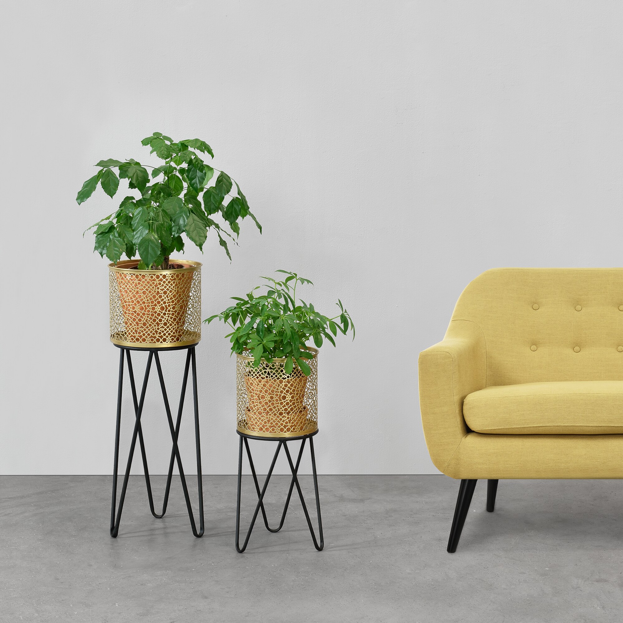 Contabilitate a muri tumoare Suport plante 2 bucati ABMM-2158, en.casa, metal, negru/auriu, cu picioare hairpin masuri diferite - eMAG.ro Contabilitate a muri tumoare Suport plante 2 bucati ABMM-2158, en.casa, metal, negru/auriu, cu picioare hairpin masuri diferite - eMAG.ro