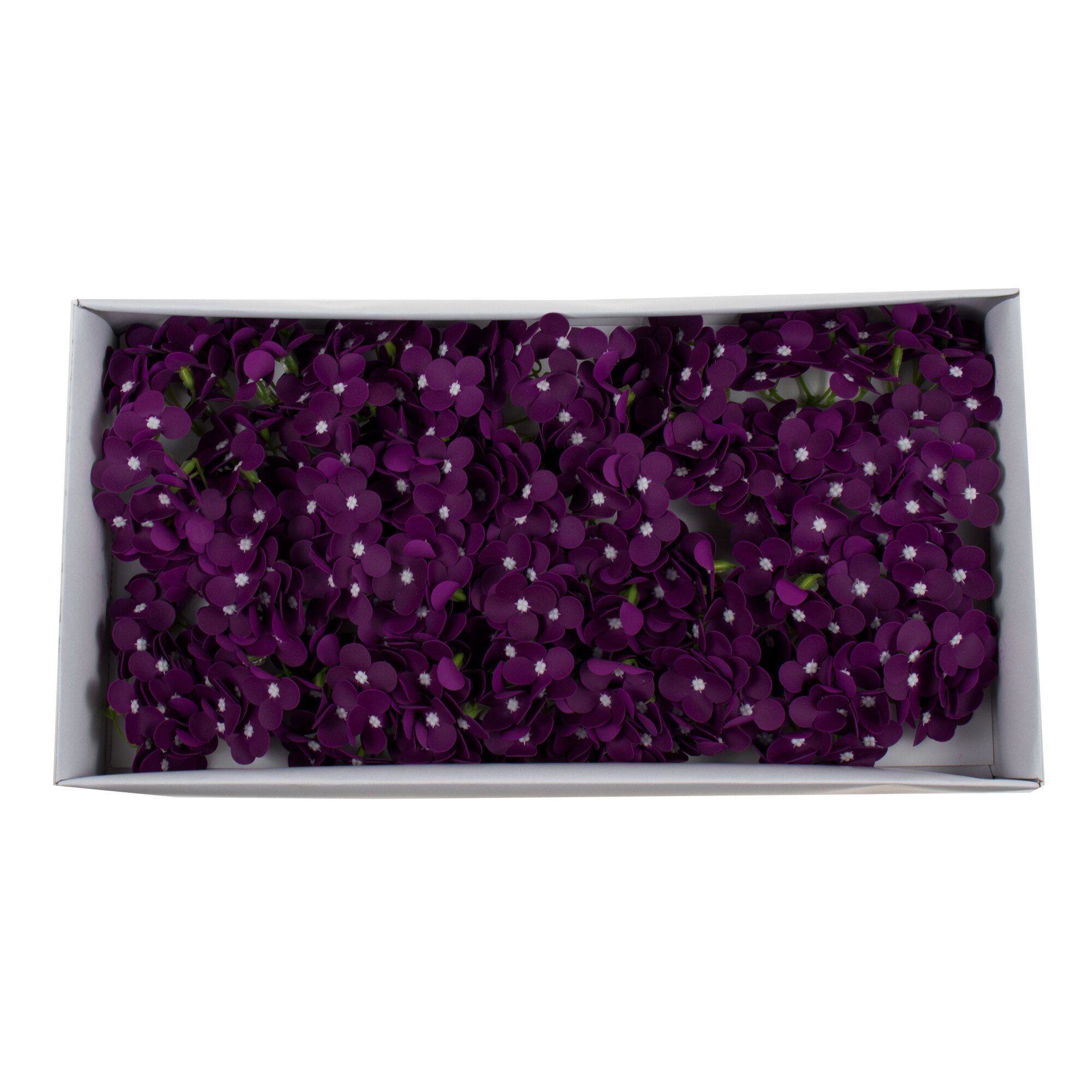 Hortensie sapun 36/Set, CD3444, Violet 11