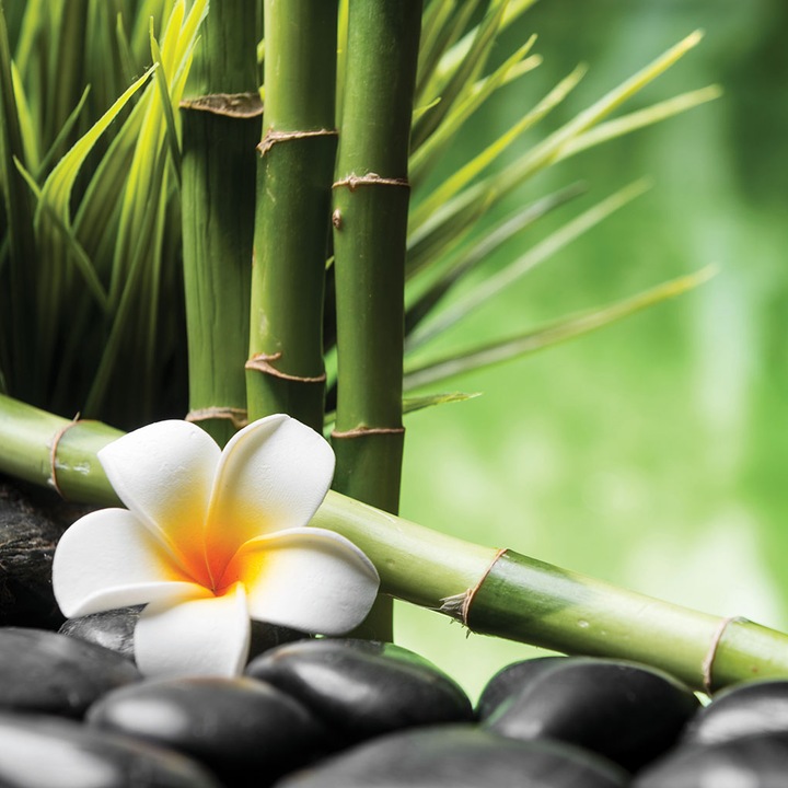 Panou sticla decorativa bucatarie, protectie aragaz, antistropire, Print UV, octopus, imprimata Multicolor, 600mmx600mm oct154-60x60