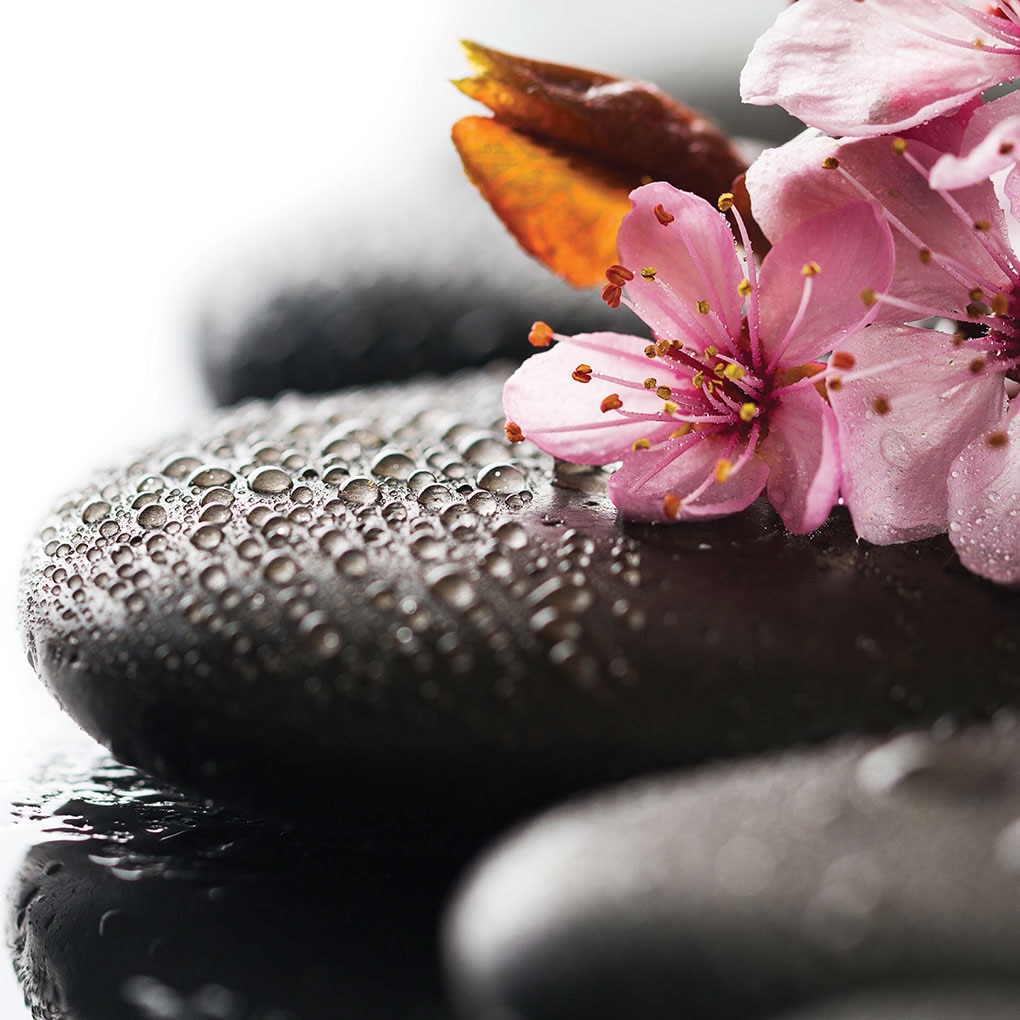 Panou sticla decorativa bucatarie, protectie aragaz, antistropire, Print UV, octopus, imprimata Multicolor, 600mmx600mm oct152-60x60