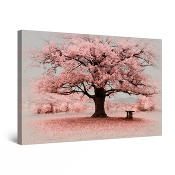 Tablou DualView Startonight Peisaj Rozaliu, luminos in intuneric, 60 cm x 40 cm Tablou DualView Startonight Peisaj Rozaliu, luminos in intuneric, 60 cm x 40 cm