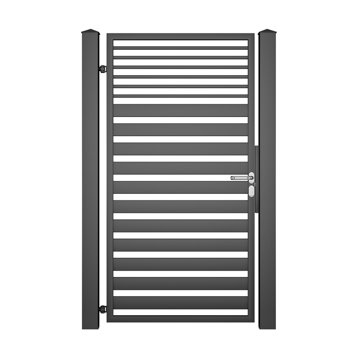 Входна порта Todome, Модерен 13, Черен, 100 x 180 см