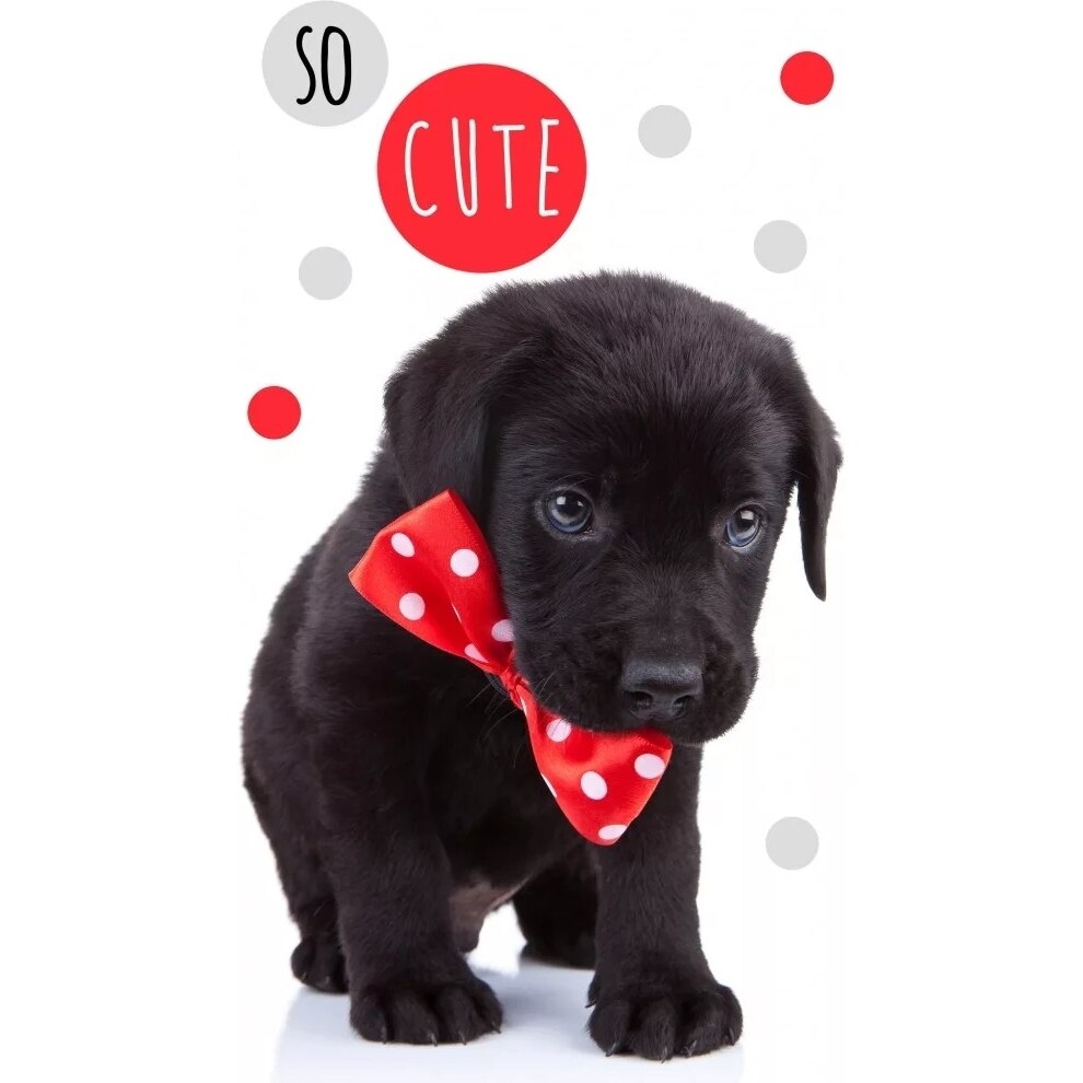 Prosop fata Dog 30x50 cm, SunCity