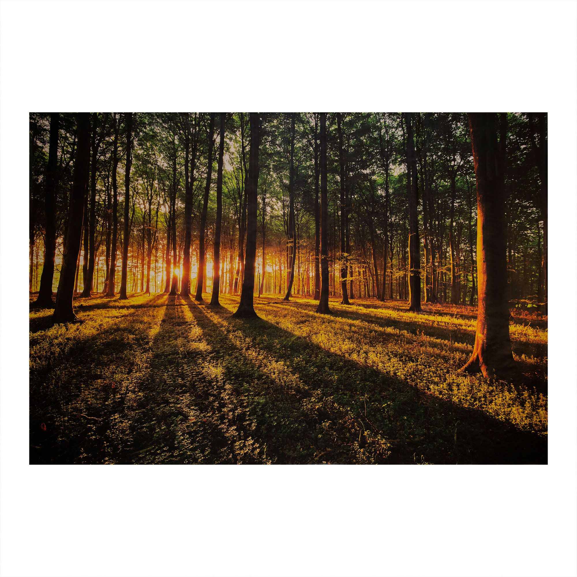 Fototapet cu model apus in padure,multicolor,dimensiune 368x254cm, adeziv inclus