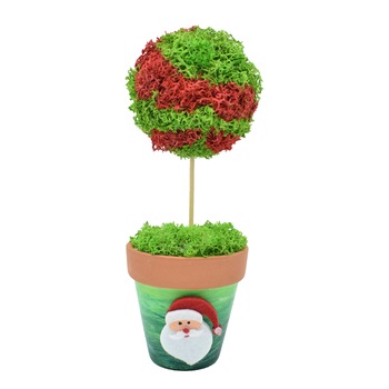 Copacel cu licheni naturali stabilizati , ghiveci pictat manual, inaltime 20 cm, verde rosu Copacel cu licheni naturali stabilizati , ghiveci pictat manual, inaltime 20 cm, verde rosu