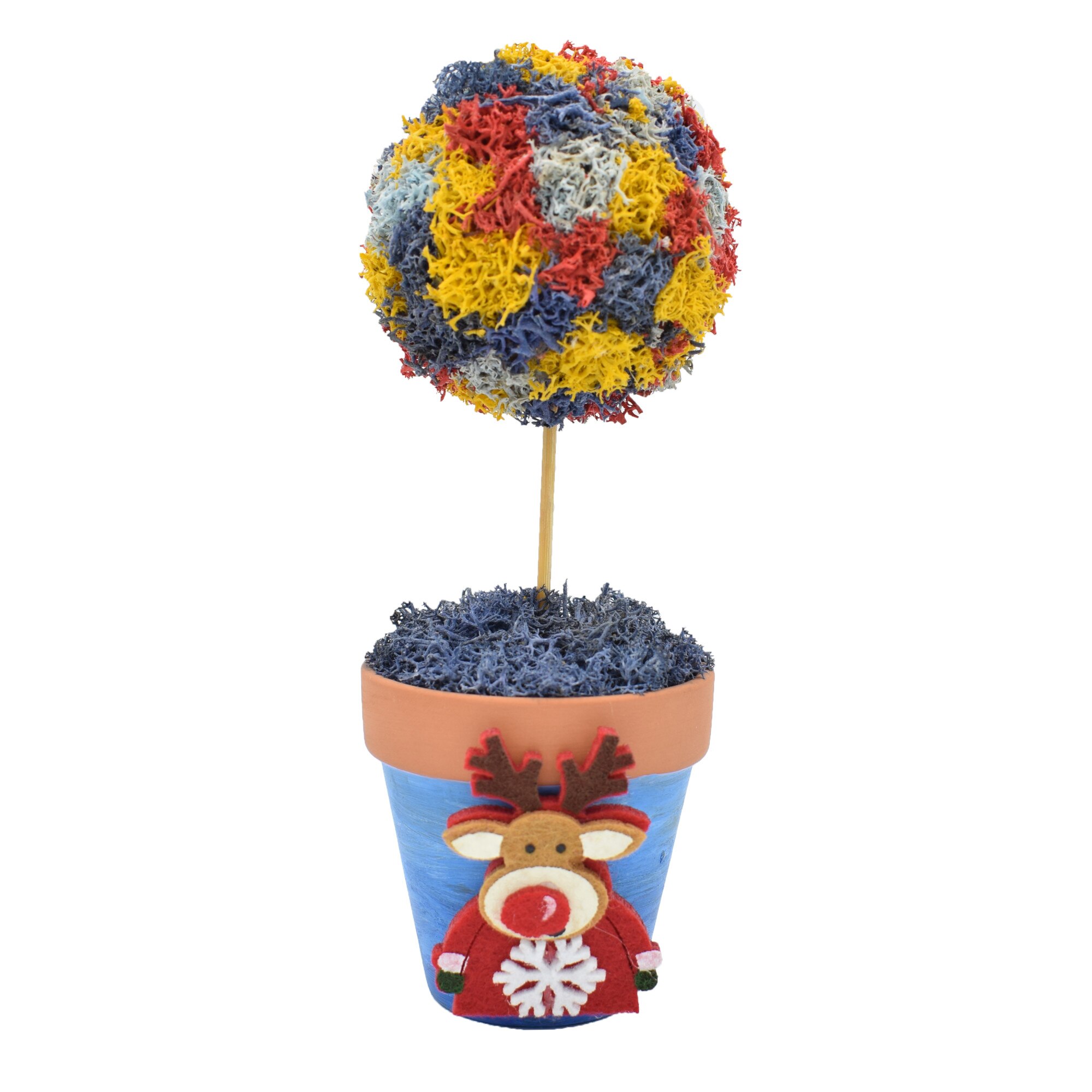 Copacel cu licheni naturali stabilizati , ghiveci pictat manual, inaltime 20 cm, multicolor