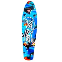 Penny Board cu roti luminoase 22