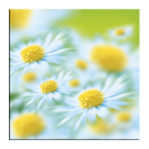 Tablou DualView Startonight Musetel, luminos in intuneric, 30 x 30 cm