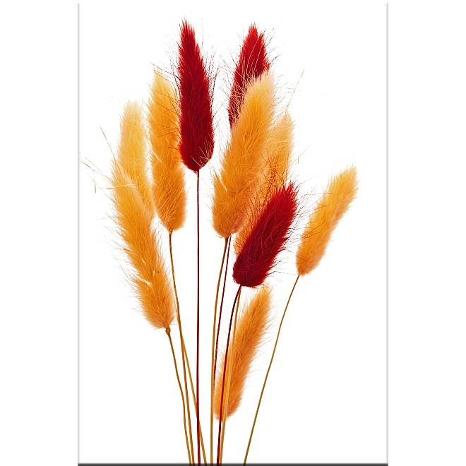 Tablou DualView Startonight Flori uscate, luminos in intuneric, 40 x 60 cm
