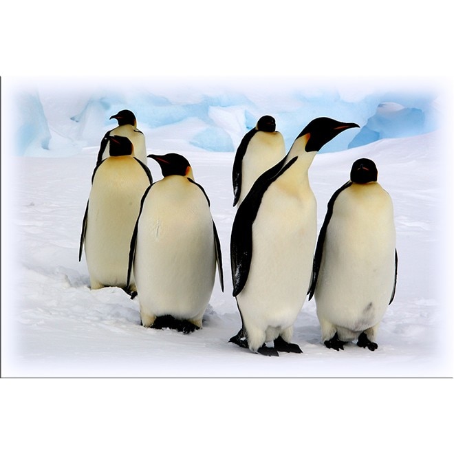 Tablou DualView Startonight Pinguini curiosi, luminos in intuneric, 60 x 90 cm