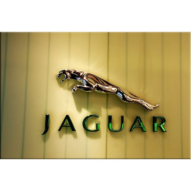 Tablou DualView Startonight Jaguar, luminos in intuneric, 40 x 60 cm