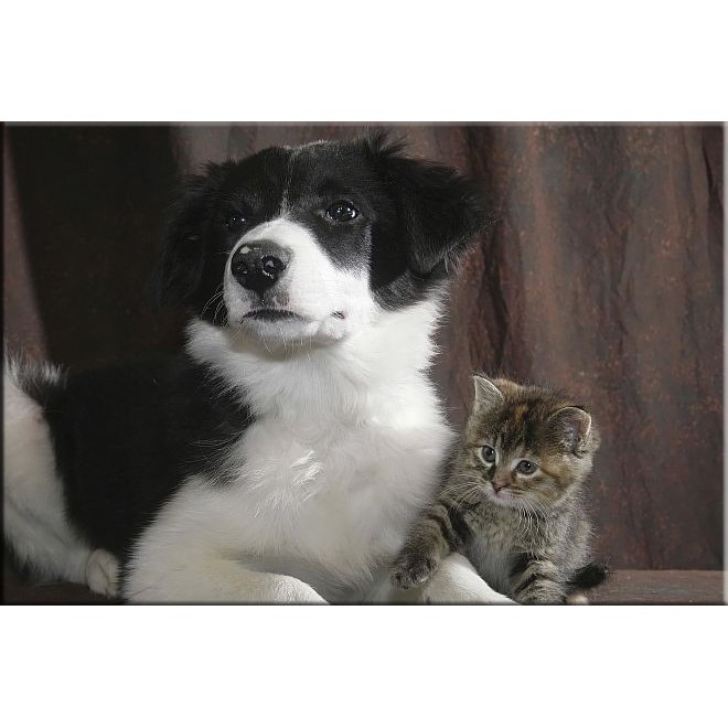 Tablou DualView Startonight Prieteni, luminos in intuneric, 40 x 60 cm