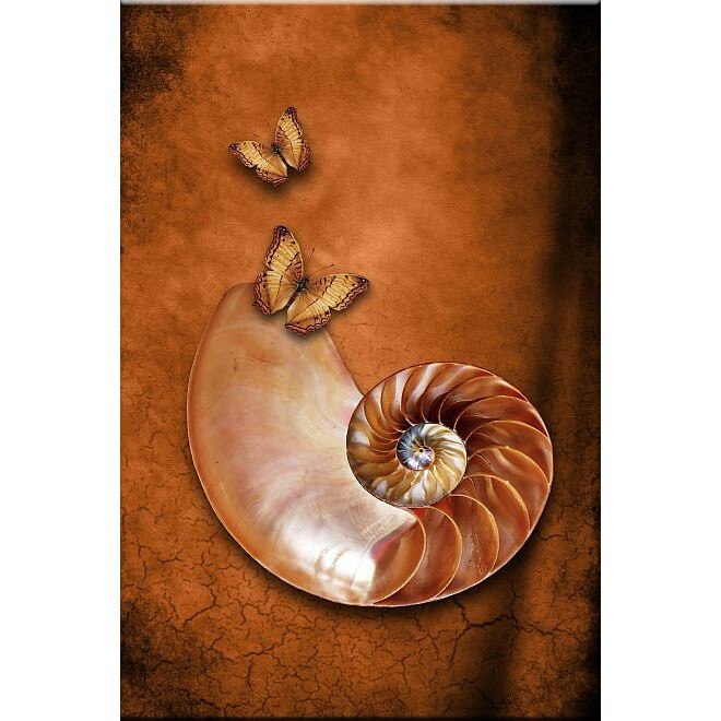 Tablou DualView Startonight Fluturi, luminos in intuneric, 60 x 90 cm