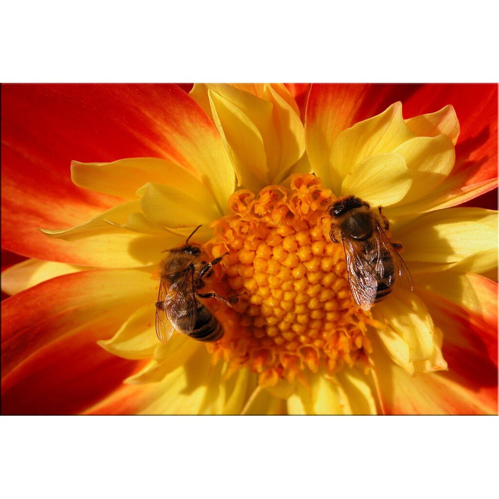 Tablou DualView Startonight Munca in echipa, luminos in intuneric, 60 x 90 cm