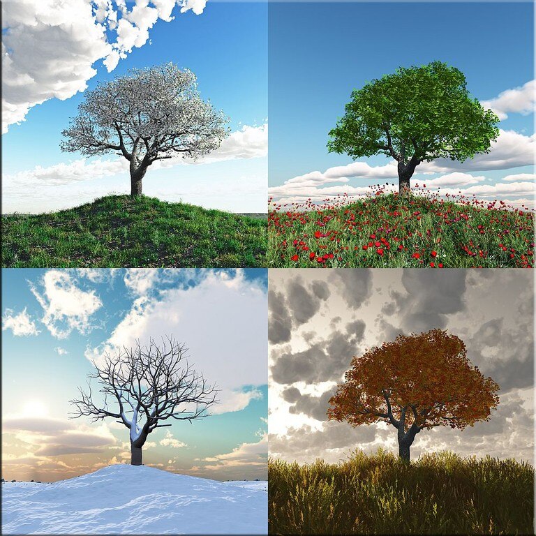 Tablou DualView Startonight Anotimpuri II, luminos in intuneric, 80 x 80 cm