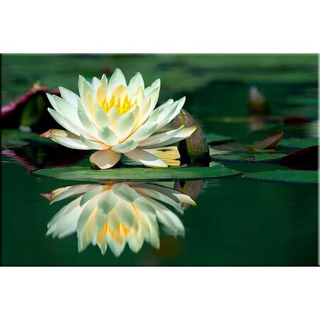 Tablou DualView Startonight Nufar, luminos in intuneric, 60 x 90 cm