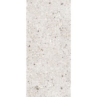gresie portelanata tip piatra terrazzo mono bone 60x120 cm 87825110 gri cutie 145 mp imagen 29_0_
0