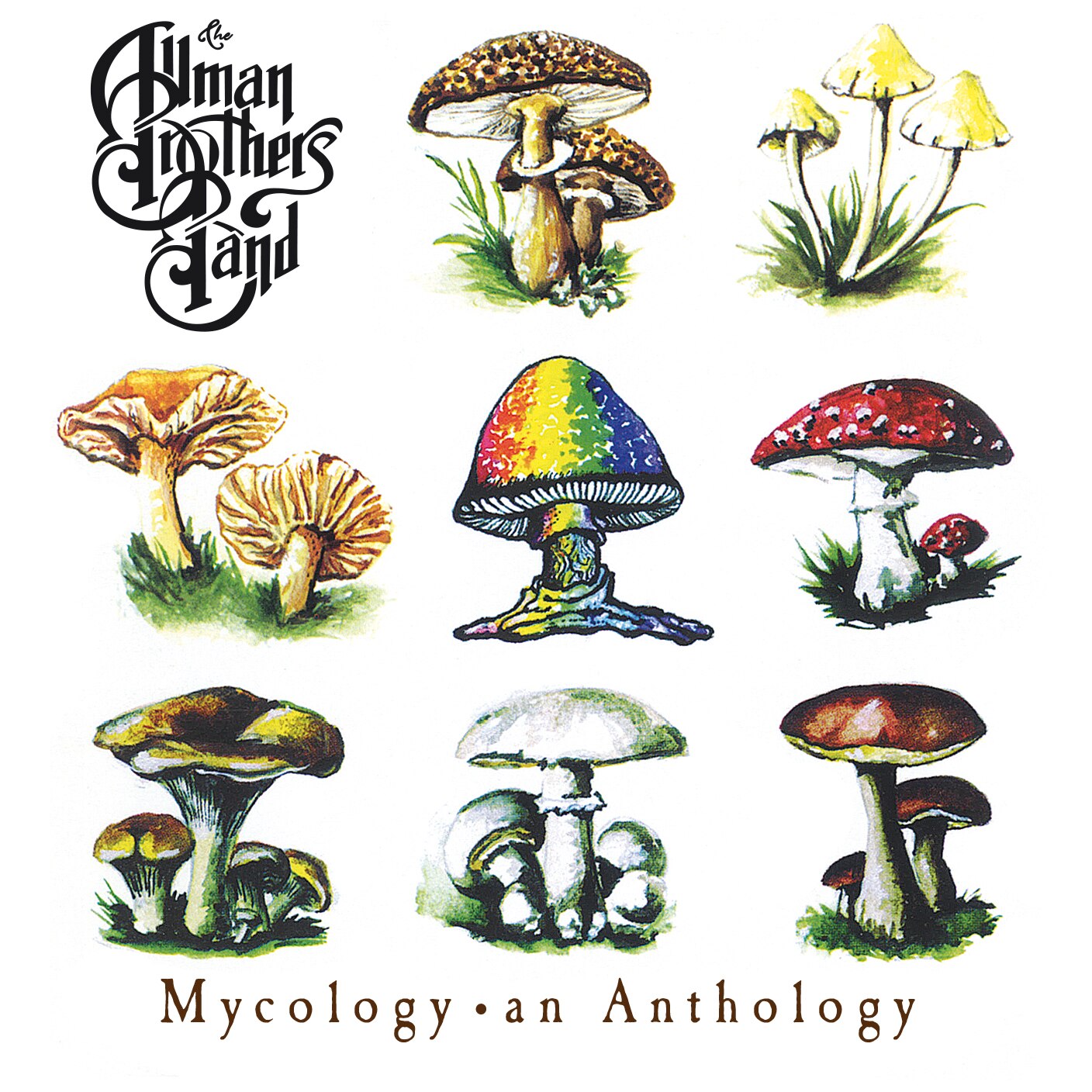Allman Brothers Band - Mycology: An Anthology (CD)