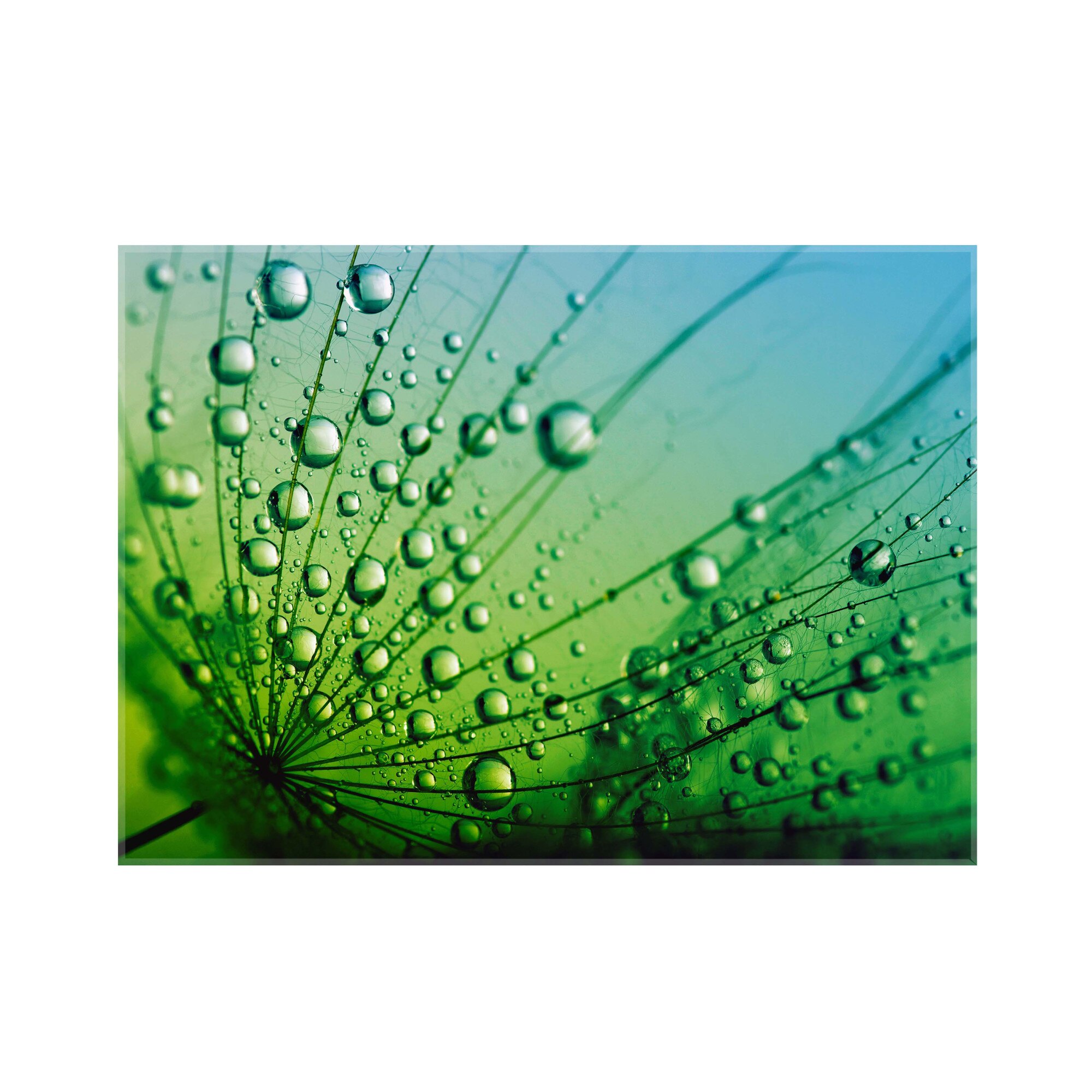 Panou decorativ sticla bucatarie securizata Saint Gobain Glass, imprimata 90x65cm, protectie antistropire pentru aragaz, Ambra Deco, Papadie si picaturi
