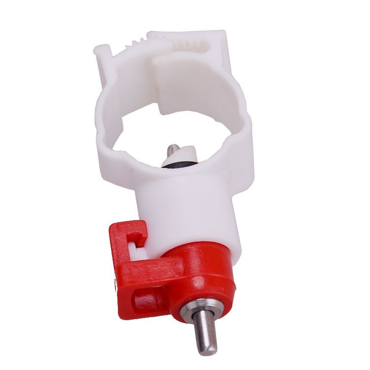 Adapatoare Pasari A1 Tehno001