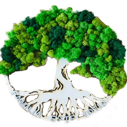 Tablou cu licheni 40 cm diametru