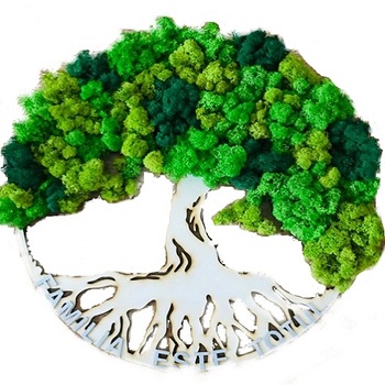 Tablou cu licheni 40 cm diametru Tablou cu licheni 40 cm diametru