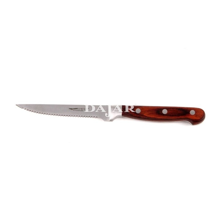 Ambition Titanium 20345 steak kés 11,5 cm, ezüst