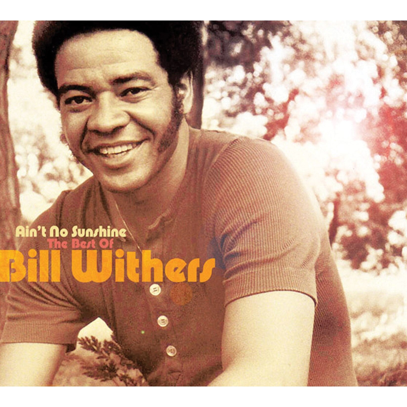 Bill Withers - Ain't No Sunshine: Best.. (2CD)