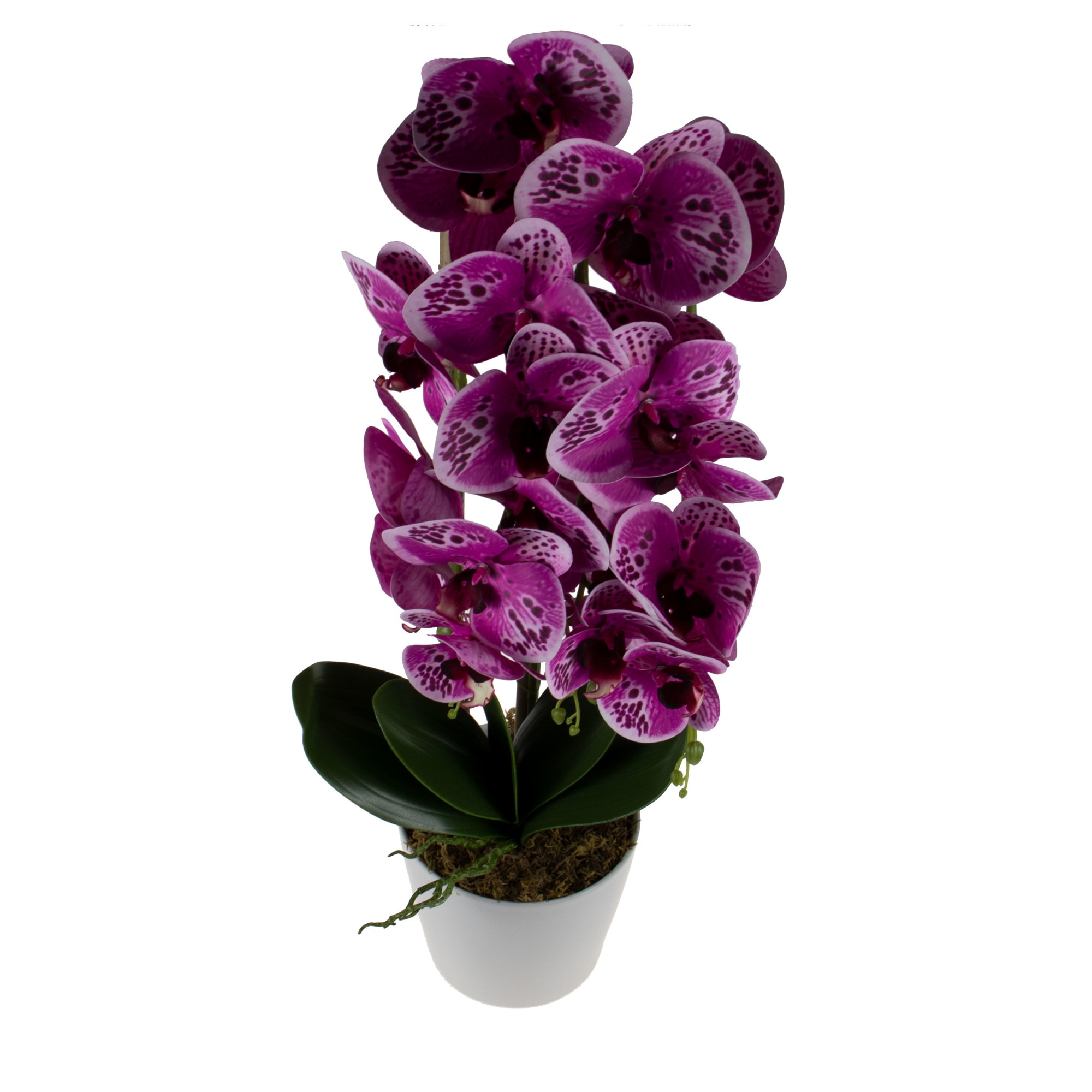 Orhidee 3 fire cu aspect natural in ghiveci ceramic alb, H 70 cm / CD4690_Roz