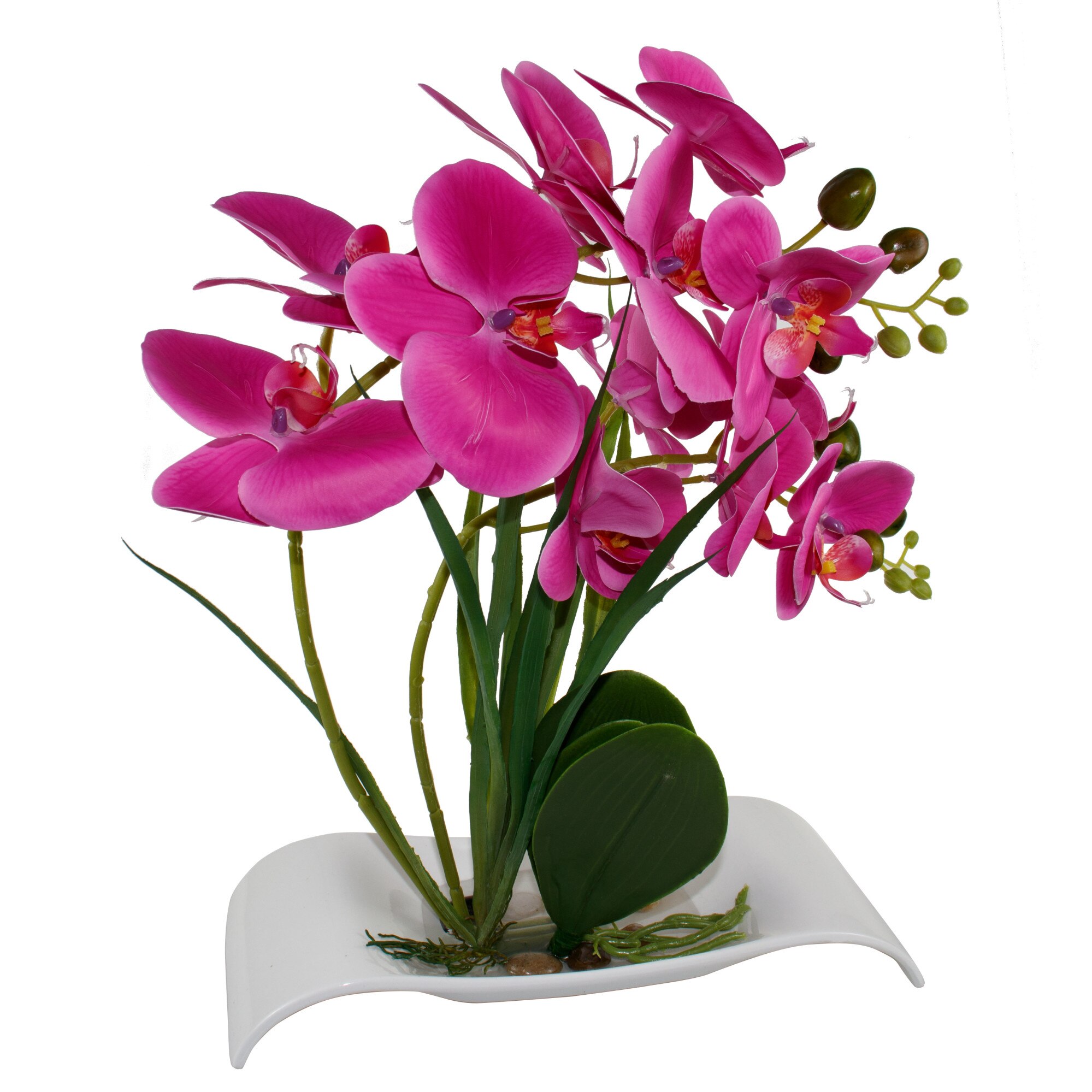 Orhidee cu aspect natural in ghiveci dreptunghiular ceramica alb, H 40 cm / CD3769_Fucsia