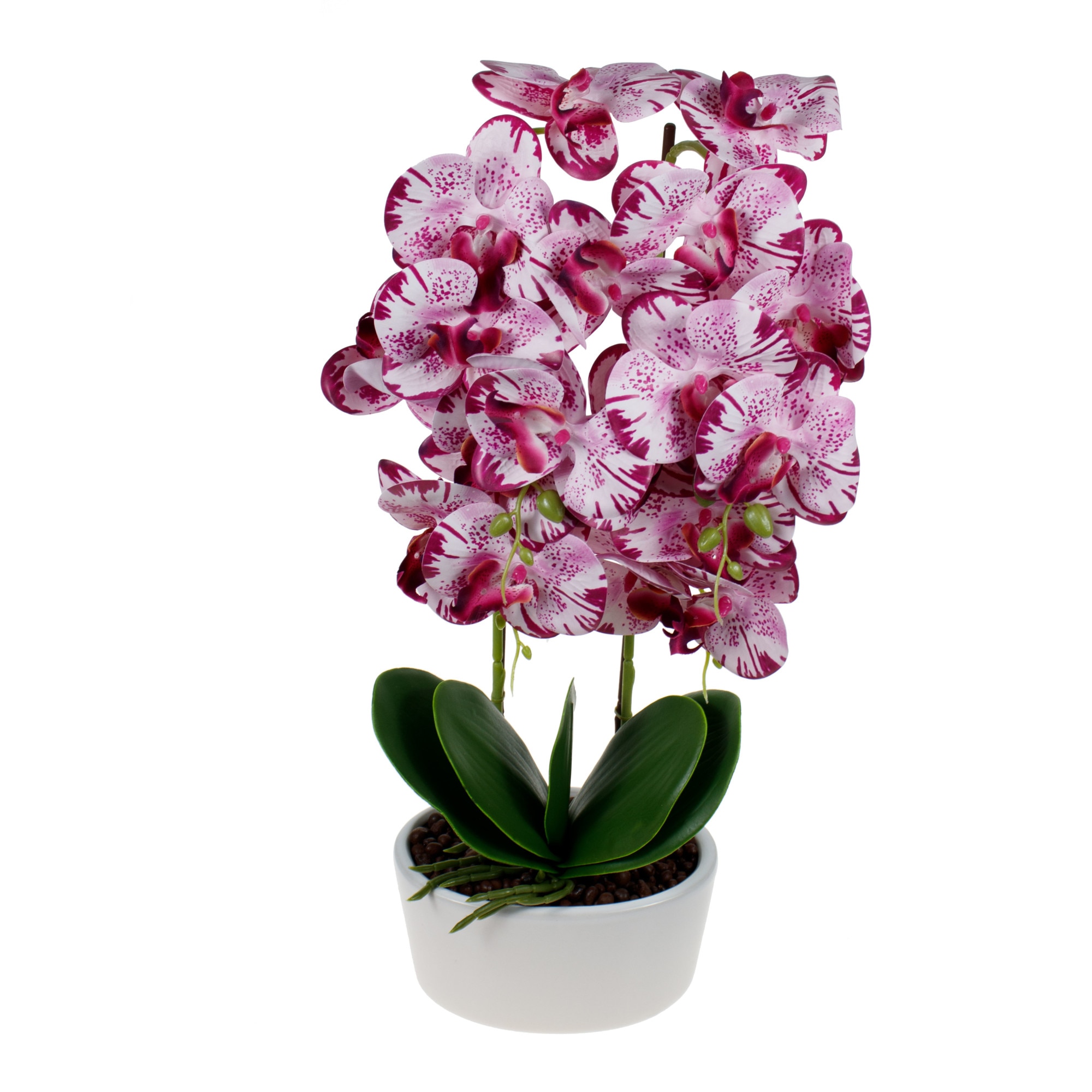 Orhidee 3 fire cu aspect natural in ghiveci oval ceramica alb, H 50 cm / CD4695_Roz-Violet