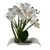 Orhidee cu aspect natural in ghiveci dreptunghiular ceramica alb, H 40 cm / CD3769_Alb