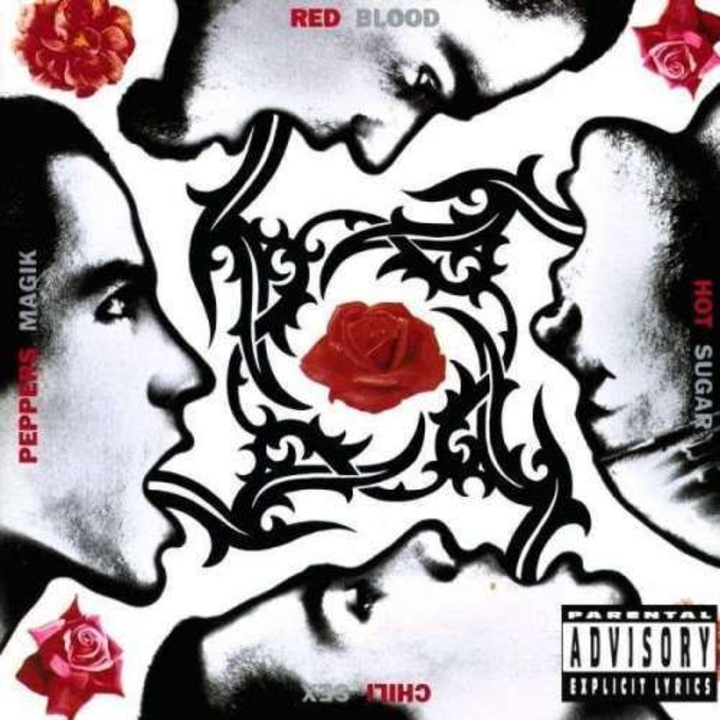 Red Hot Chili Peppers - Blood Sugar Sex Magik (LP)
