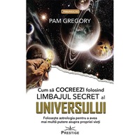cum sa cocreezi folosind limbajul secret al universului - pam gregory imagen 11_0_
0