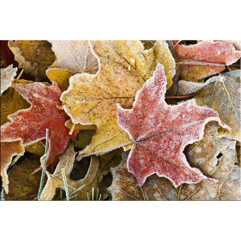 Tablou DualView Startonight Primul inghet, luminos in intuneric, 60 x 90 cm