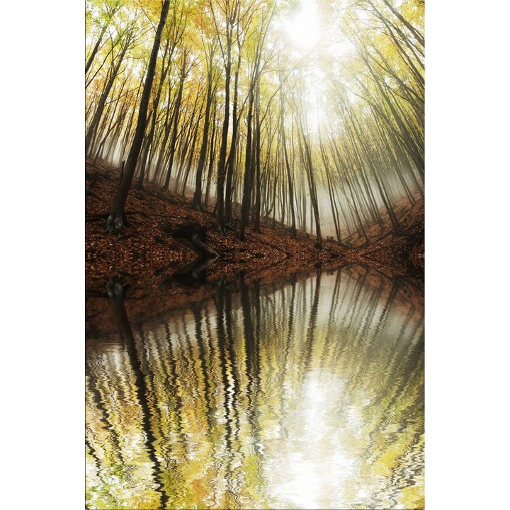 Tablou DualView Startonight Sus si jos, luminos in intuneric, 60 x 90 cm