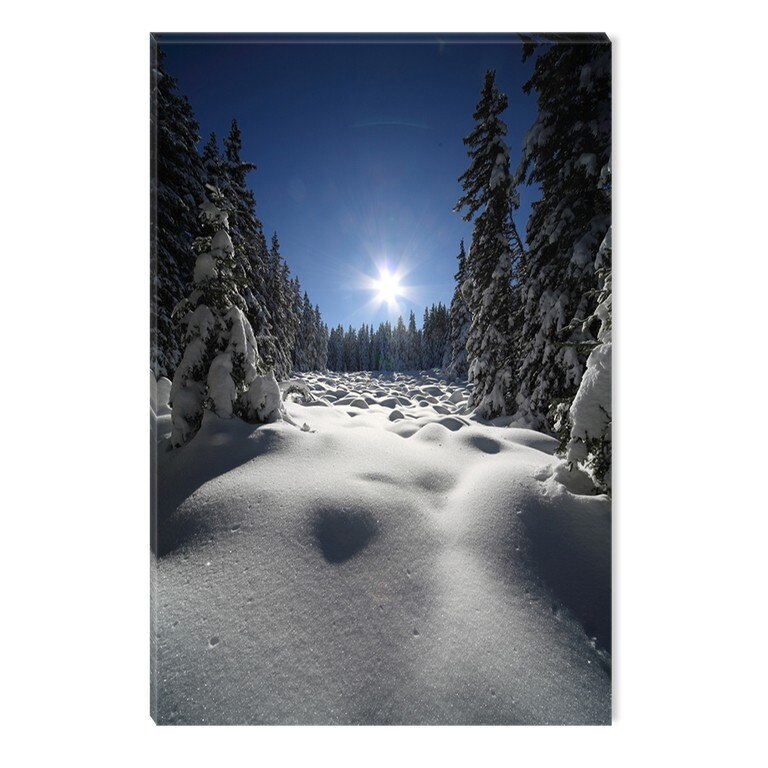 Tablou DualView Startonight Soare de iarna, luminos in intuneric, 80 x 120 cm