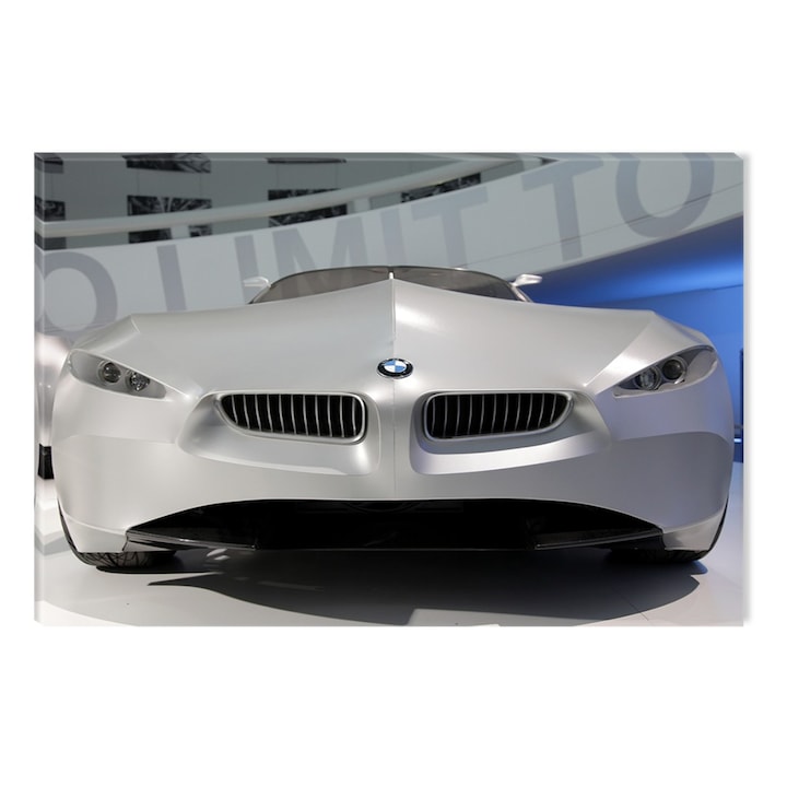 DualView Startonight картина BMW концептуален автомобил, светеща на тъмно, 80 x 120 cm