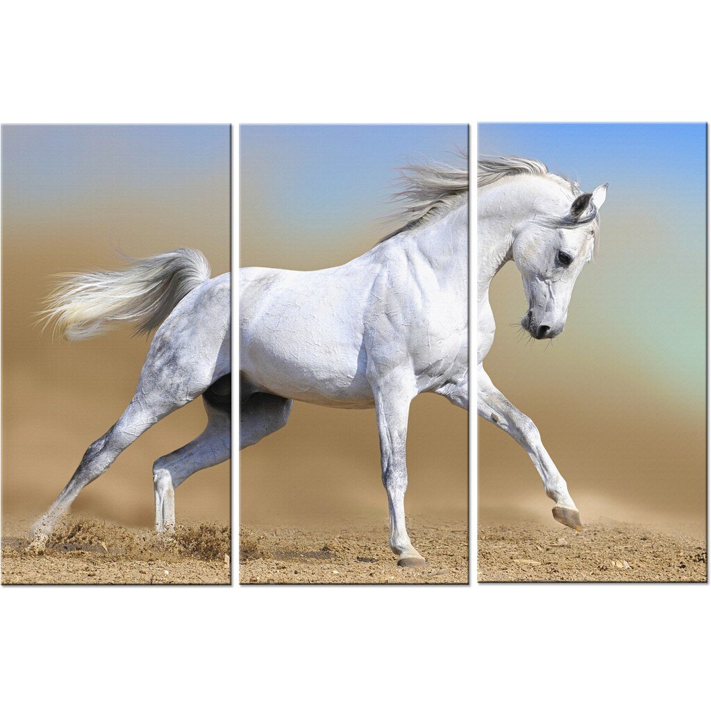 Set tablou DualView Startonight Cal arab, luminos in intuneric, 120 x 180 cm (3 piese 60 x 120 cm)