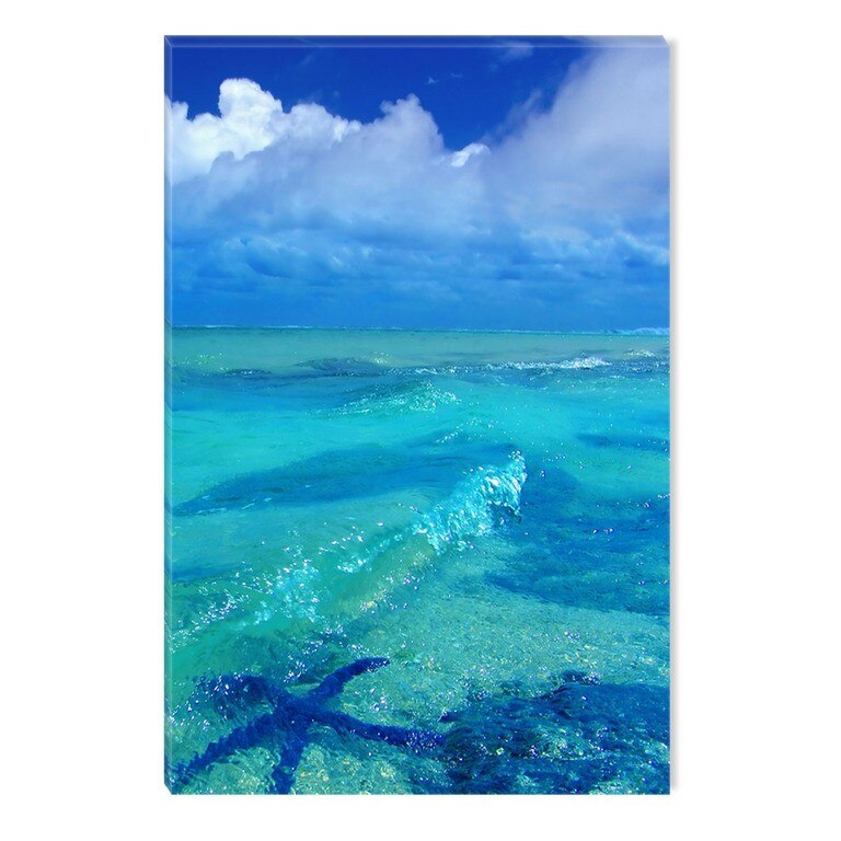 Tablou DualView Startonight Stea de mare in albastru, luminos in intuneric, 60 x 90 cm