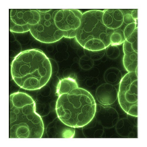 Tablou DualView Startonight Celule, luminos in intuneric, 40 x 40 cm