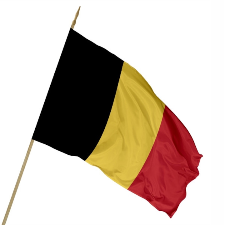 Steag Belgia ,TIDA-RO, Poliester, 100 x 150 cm