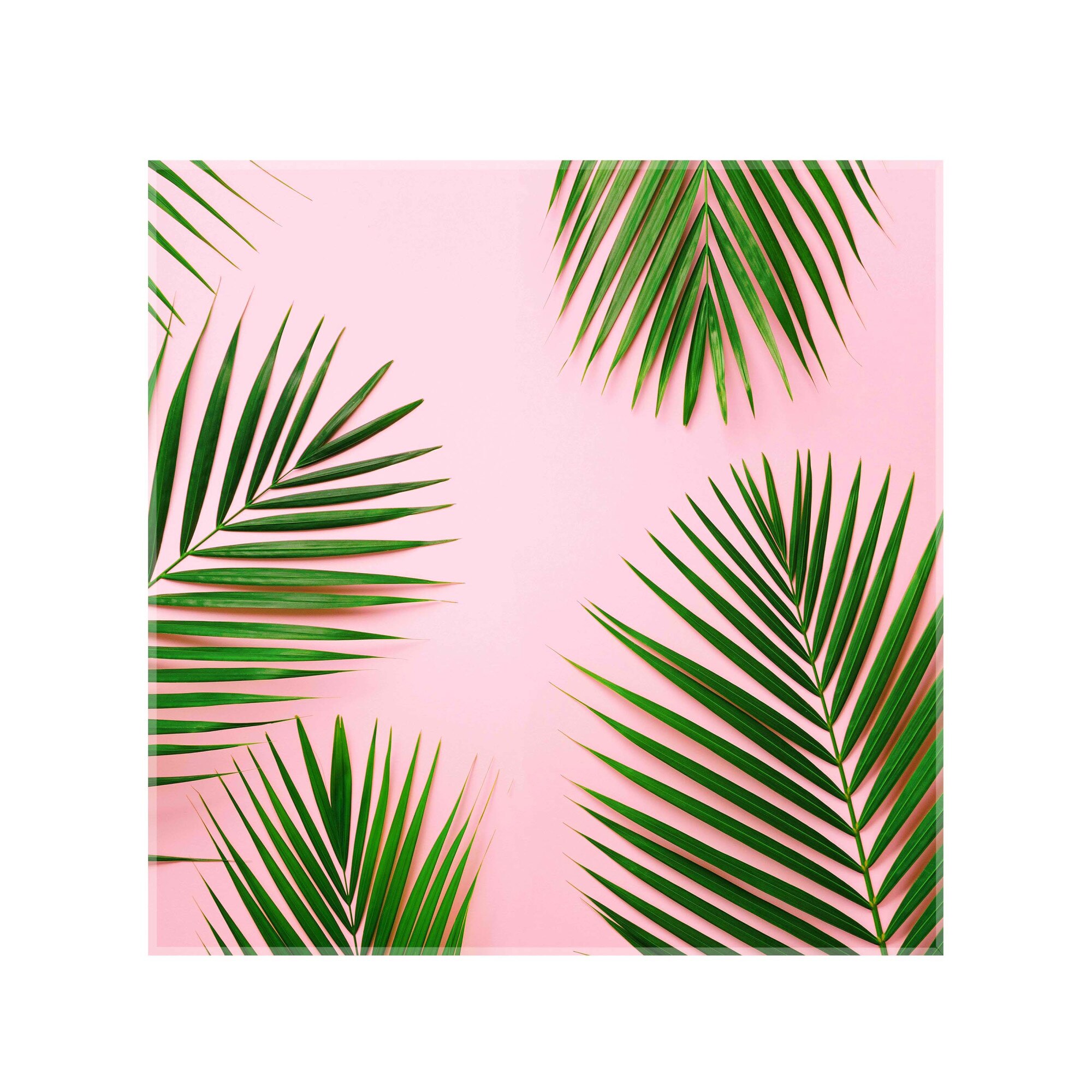 Panou decorativ sticla bucatarie securizata Saint Gobain Glass, imprimata 65x65cm, protectie antistropire pentru aragaz, Ambra Deco, Frunze Palmier